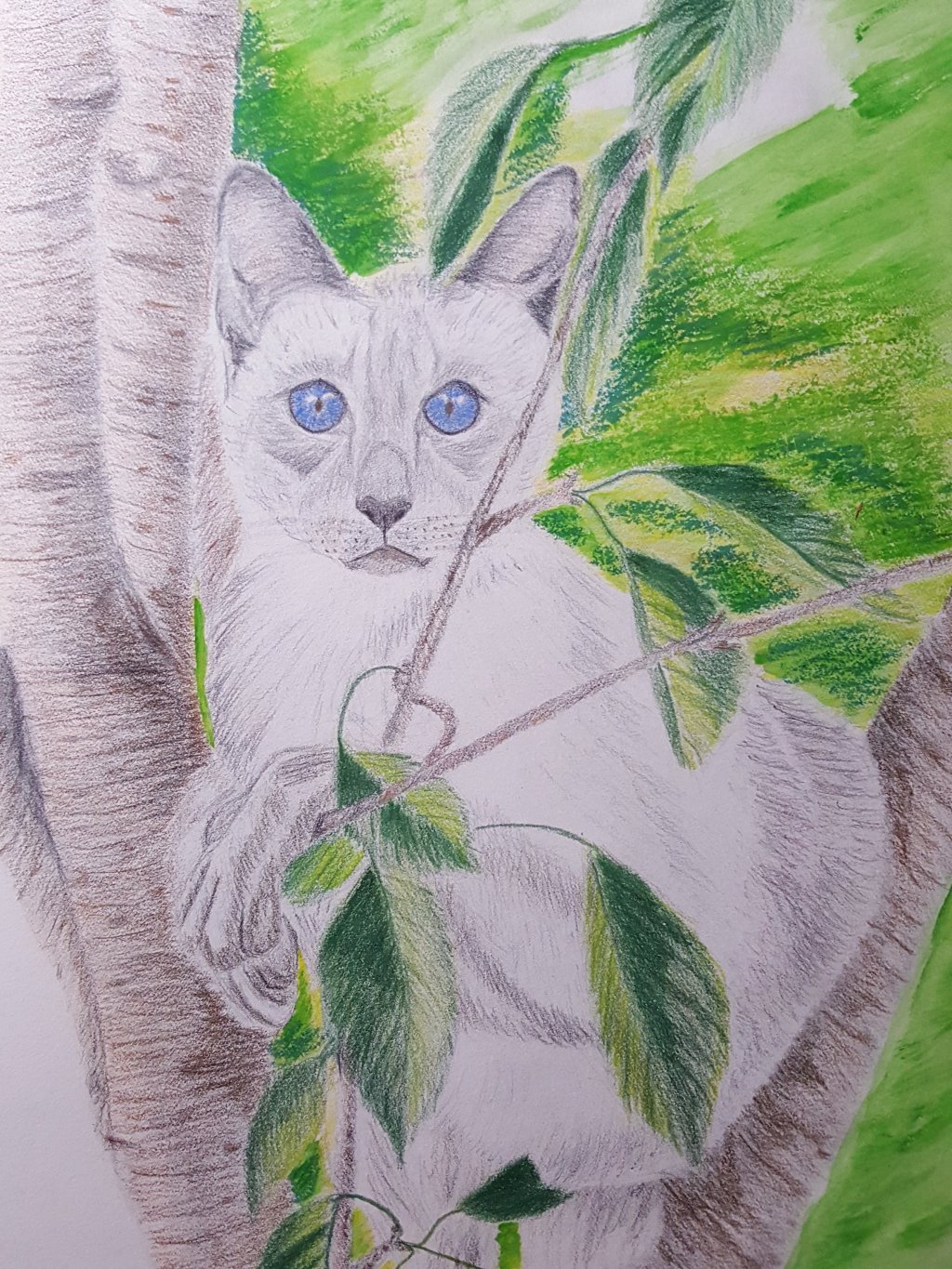 I’m just fine, thank&nbsp;you