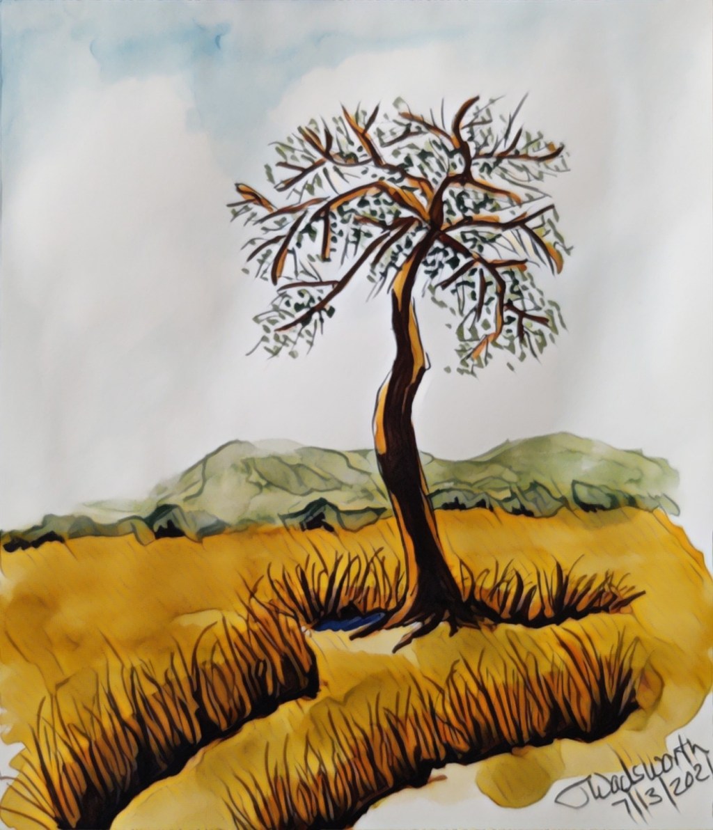 Landscape in Lancashire&nbsp;UK