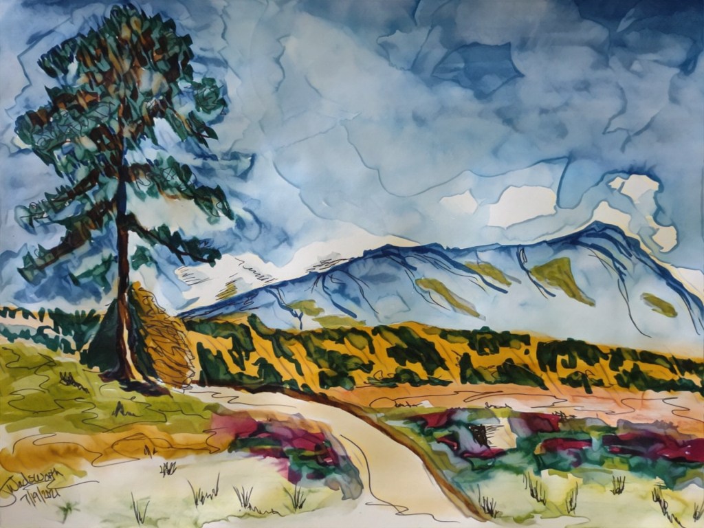 Colorado mountain valley